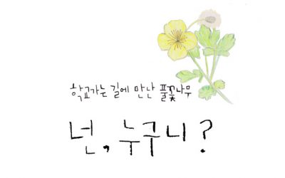 [모집] 청소년 환경동아리 _ 학교가는 길에 만난 풀꽃나무