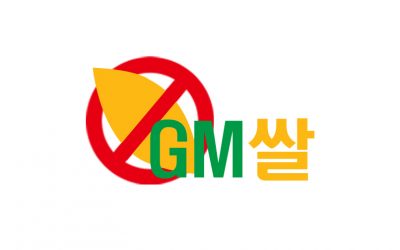 [기자회견문] 농업을 황폐화시키고, 국민의 생명을 위협하는 GM벼 상용화와 GM작물 개발 중단하라!