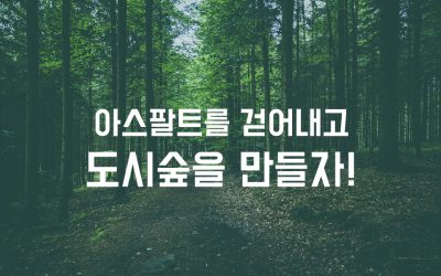 [보도자료] 아스팔트를 걷어내고 도시숲을 만들자!