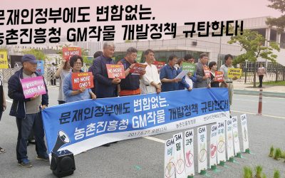 [농진청 GM작물 시험재배 승인 규탄 기자회견문] 문재인정부에도 변함없는,  농촌진흥청 GM작물 개발정책 규탄한다!