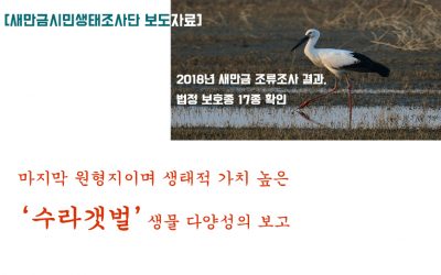 [새만금시민생태조사단 보도자료] 2018년 새만금 조류조사 결과