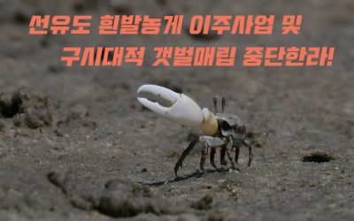 [보도자료] 선유도 흰발농게 이주사업 및 구시대적 갯벌매립 중단하라!