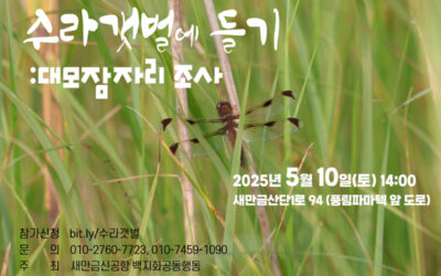🚩[5월 수라갯벌에 들기: 대모잠자리 조사] 참가자 모집