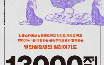 🌎 큰뒷부리도요의 13,000km를 지켜낼 13,000배에 함께 해주세요.🙏🏽
