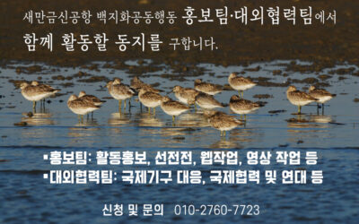 🌟새만금신공항 백지화공동행동 홍보팀·대외협력팀에서 함께 활동할 동지들을 구합니다!🌟