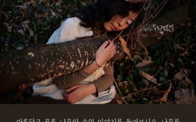 #228벌목규탄전주시민대행진 sns 활동 안내