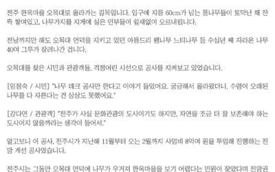 전주시 나무잔혹사 기사 모음집 ‘우리는 왜 숲이 되지 못했을까’