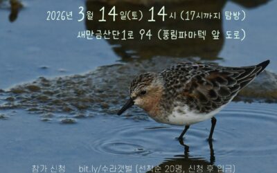 🌊 2026년 3월 수라갯벌에 들기 참가자 모집 🦩