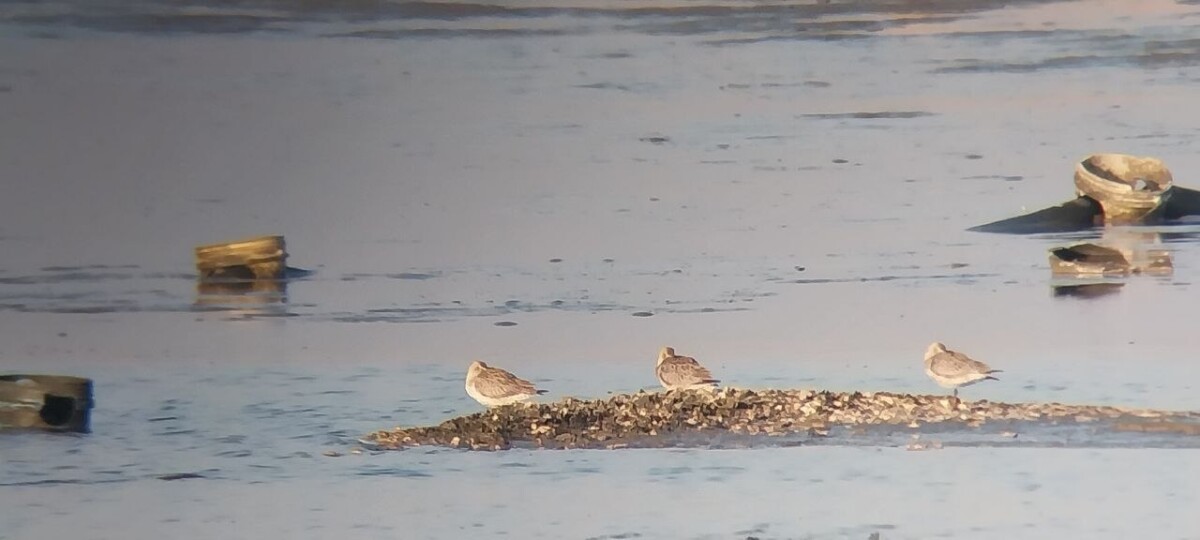 photo_2026-03-22_18-10-11 (2).jpg