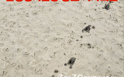 🔥[새만금신공항 기본계획 집행정지신청 항고 기자회견]에 함께 해주세요!🔥